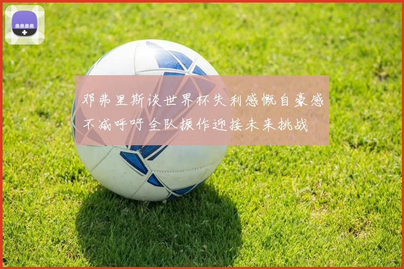 邓弗里斯谈世界杯失利感慨自豪感不减呼吁全队振作迎接未来挑战