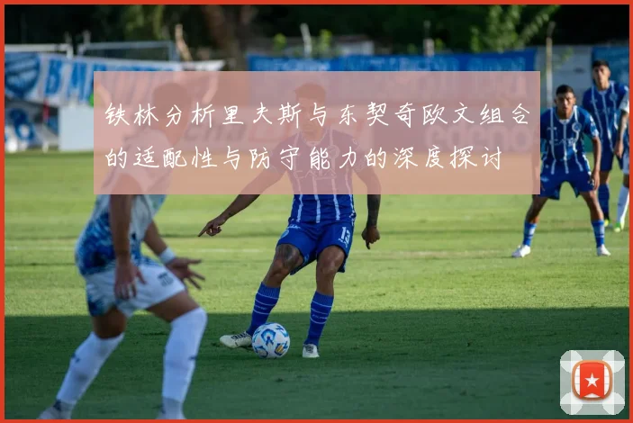 铁林分析里夫斯与东契奇欧文组合的适配性与防守能力的深度探讨