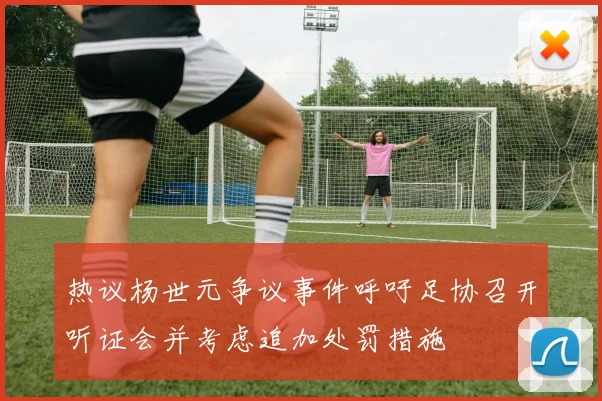 热议杨世元争议事件呼吁足协召开听证会并考虑追加处罚措施
