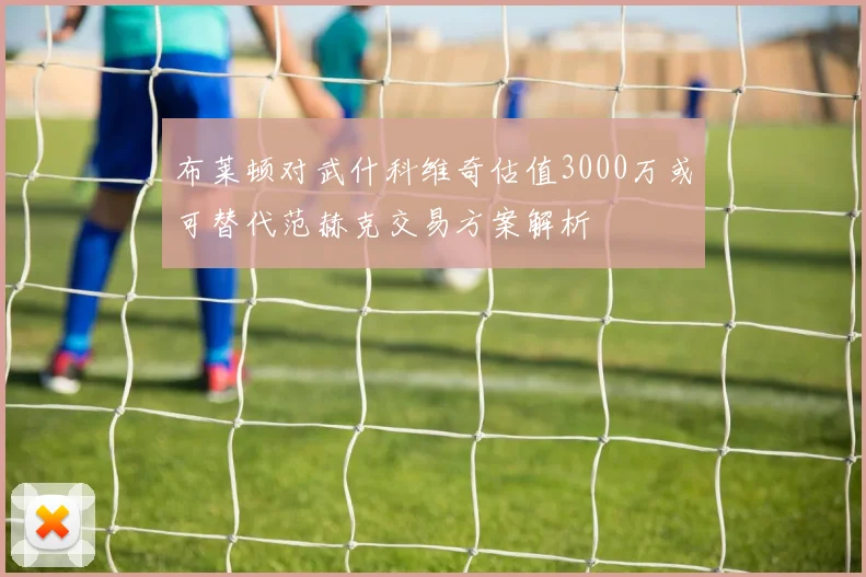 布莱顿对武什科维奇估值3000万或可替代范赫克交易方案解析